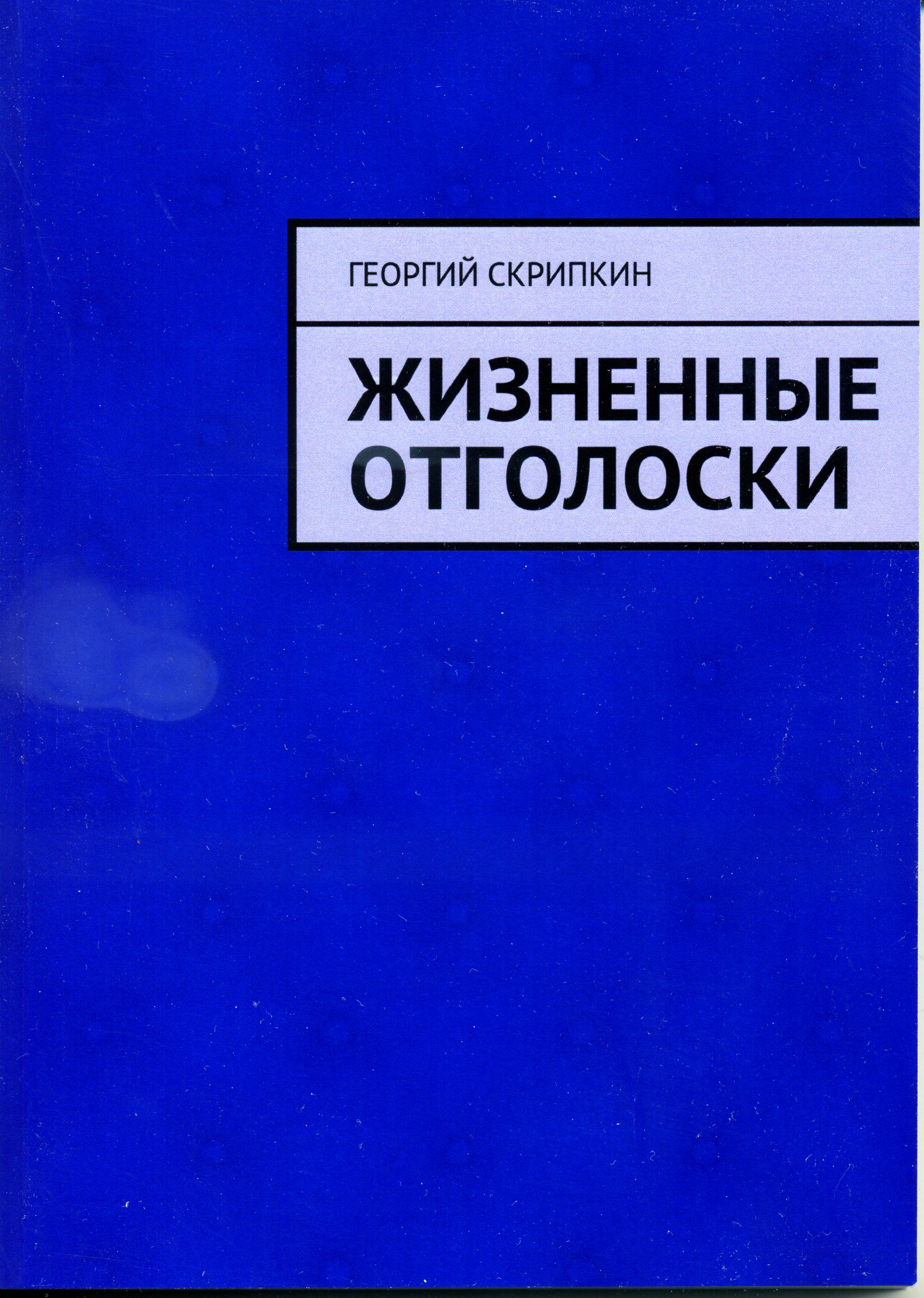 Обложка книги «Жизненные отголоски»
